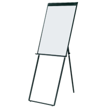 Deluxe Flipchart Easel and Markers