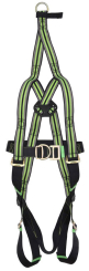 2 Point Rescue Harness