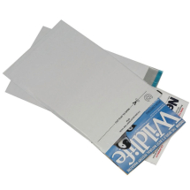 GoSecure Envelope Lightweight Polythene 235x310mm Opaque (Pack of 100)