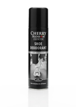 Shoe Deodorant Spray 12 x x 250ml Shoe Deodorant Spray 12 x x 250ml