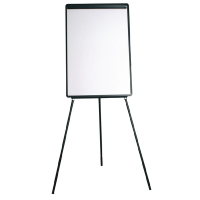 Flipchart Easel and Pads